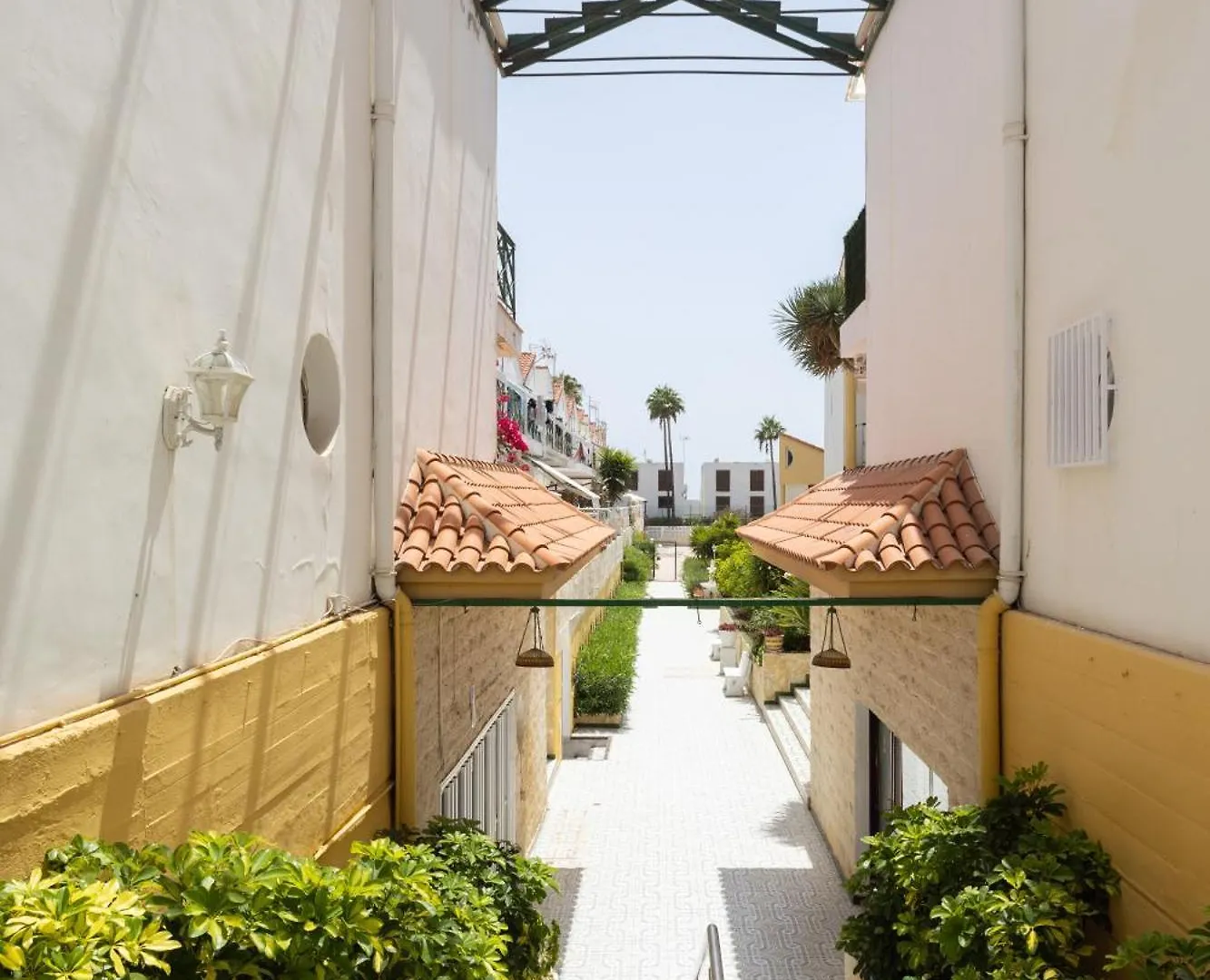 Two Apartments 250M From Las Americas Beach プラヤ・デ・ラス・アメリカス 0*,  スペイン
